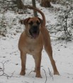 /album/anka/anka-088-jpg/